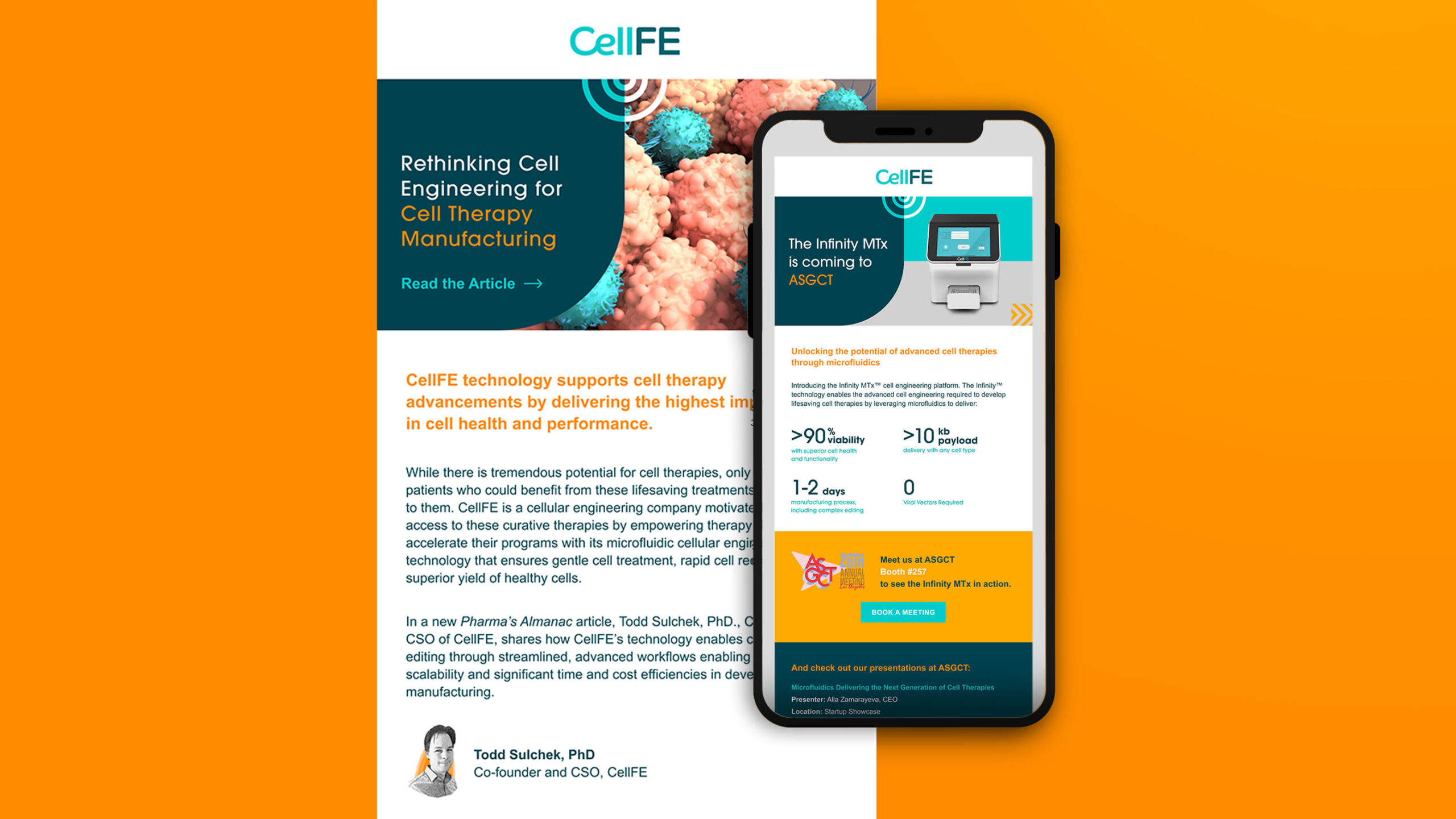 CellFE - Digital & SEO
