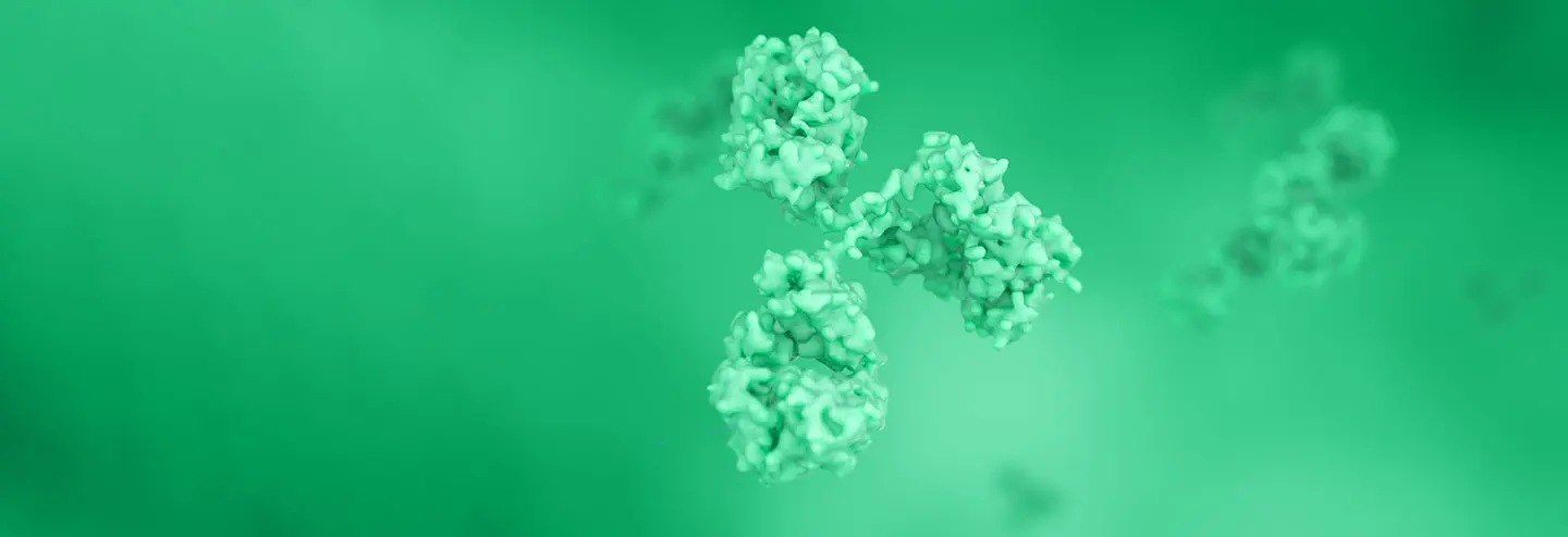 Accelerated and Cost-Effective Antibody Design Using Artificial Intelligence