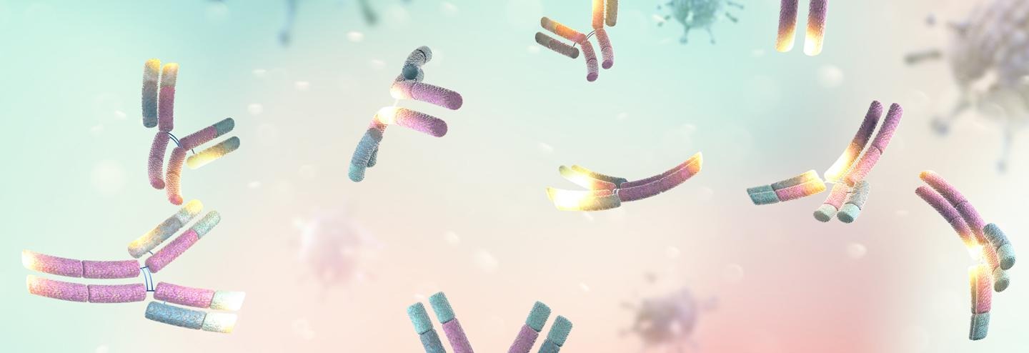 The Biopharma Industry is Well Prepared for an Overhaul of the Lead-to-Clinic CMC Process for Antibodies