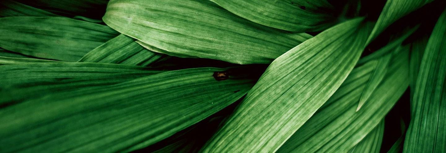 A Concerted QbD Approach to Development and Manufacturing of Nucleic Acid Therapies