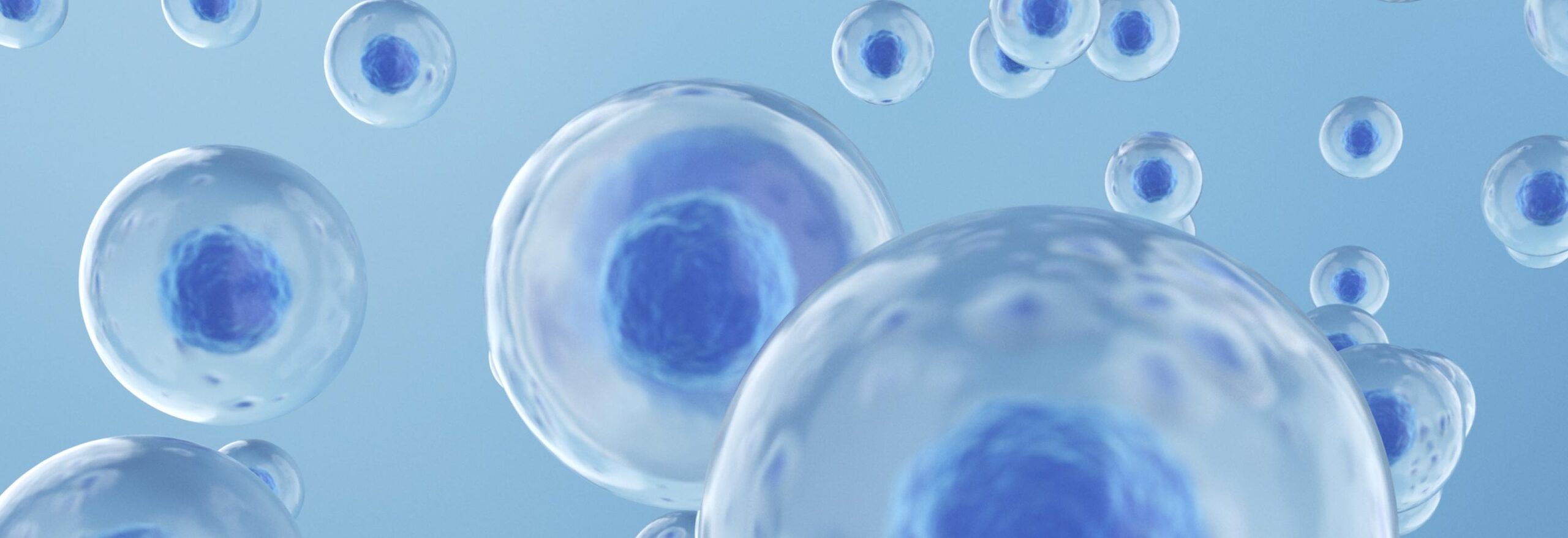 Intelligent Cell Processing Enables Consistent, Reproducible, and Scalable GMP-Compliant Processes