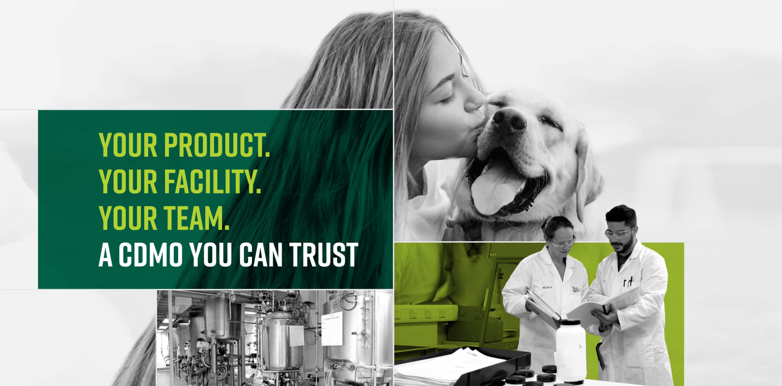TriRx Pharmaceutical Services - Creative Case Study - Image (2)