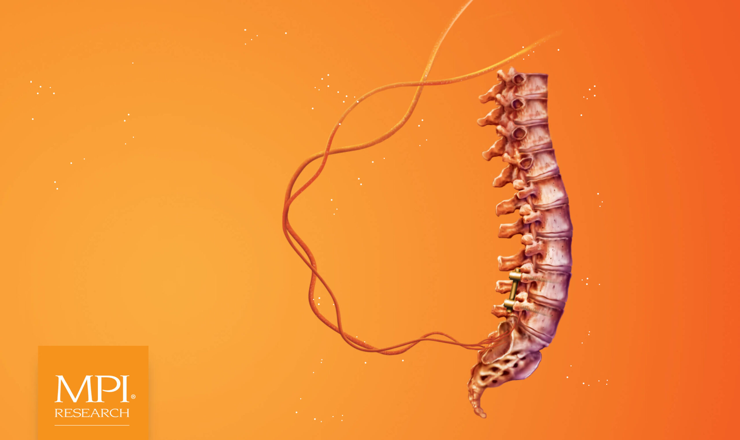 MPI Research (Charles River) - Creative Case Study - Image (2)