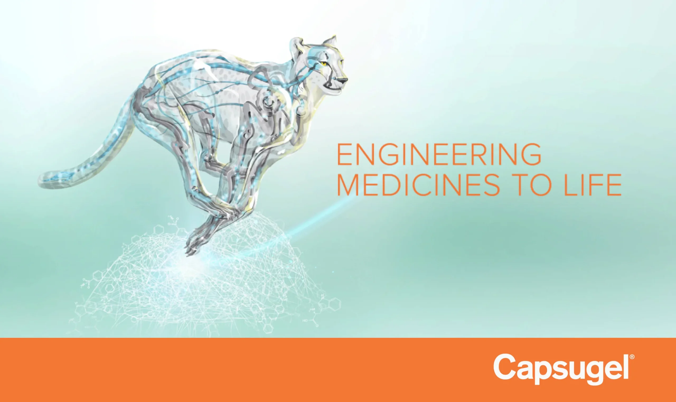 Capsugel (Lonza) - Creative Case Study - Image (5)