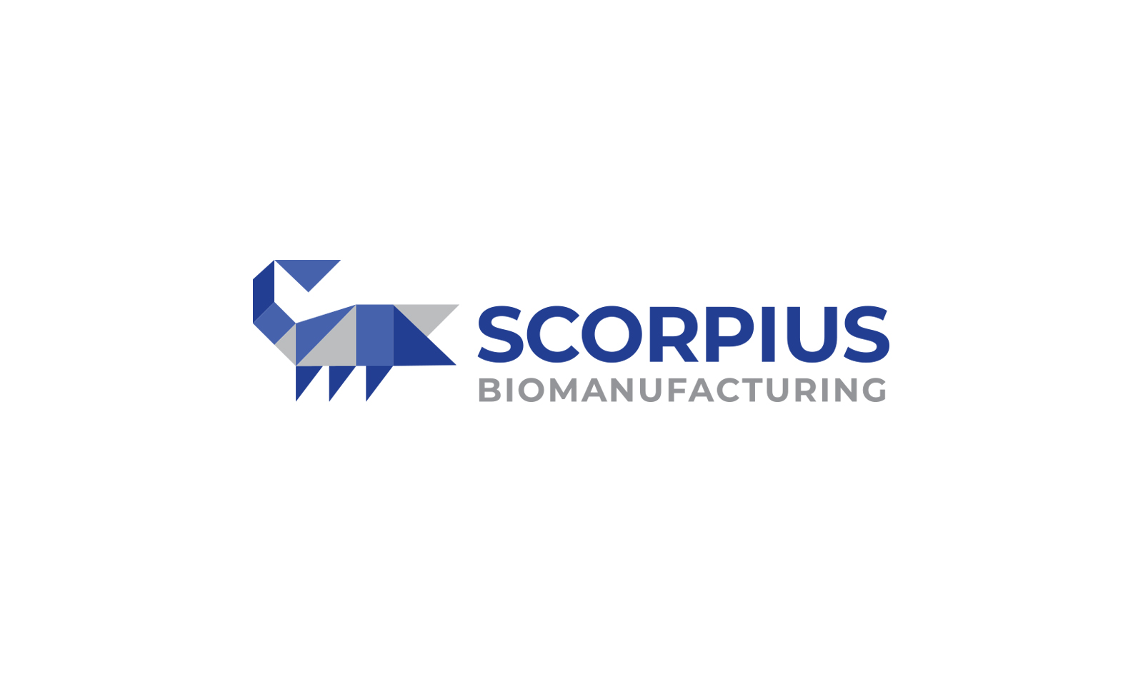 Scorpius BioManufacturing - Brand Case Study - Image (2)