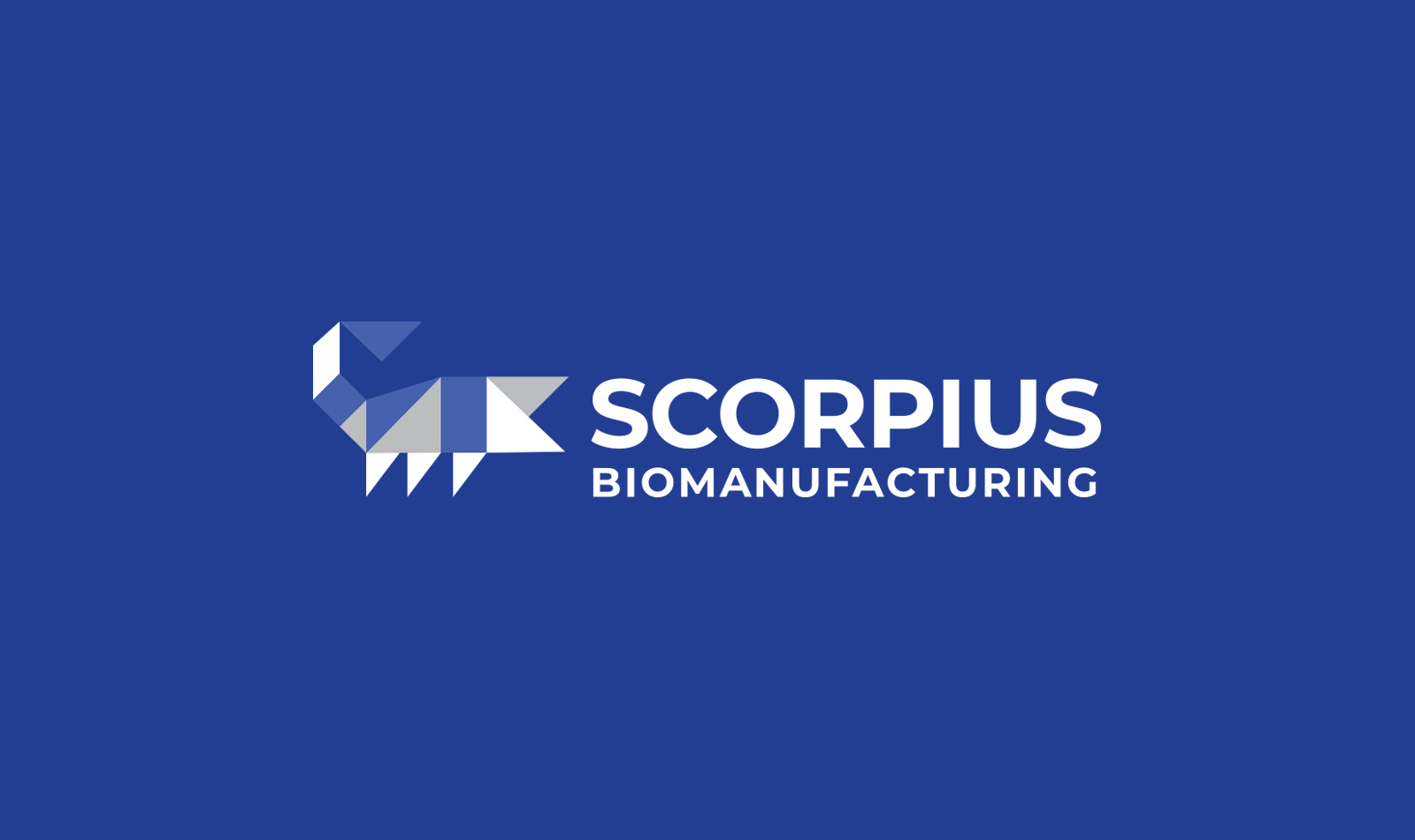 Scorpius BioManufacturing - Brand Case Study - Image (1)