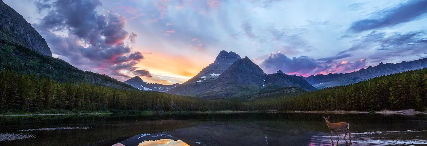 Growing Life Science and Biotech in Montana