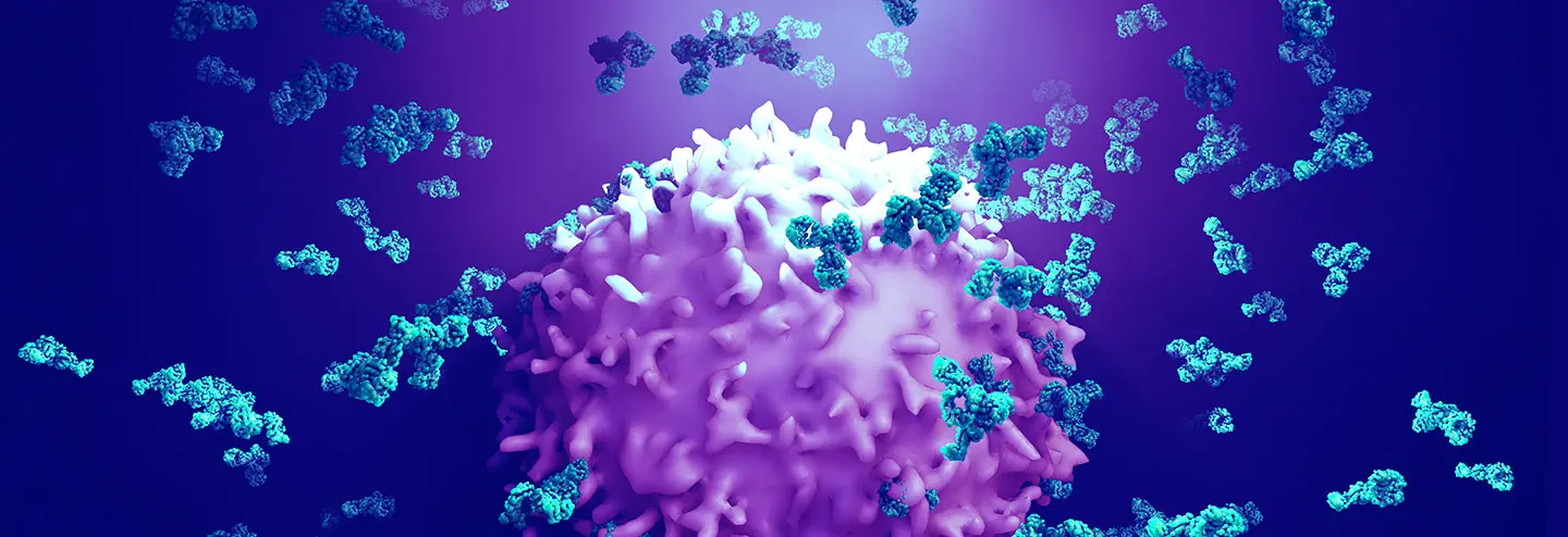 Accelerating the Development and Production of High-Quality Bispecific Antibodies