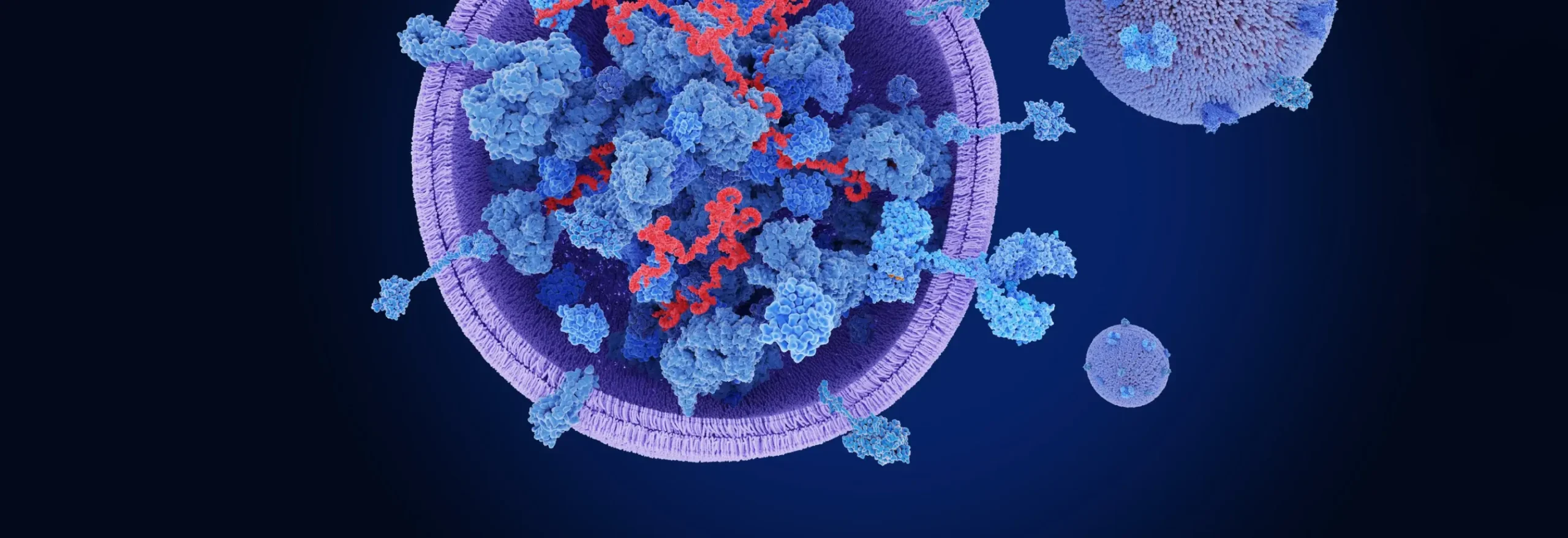 Bright Outlook for Exosome-Based Therapeutics and Diagnostics Despite Numerous Hurdles