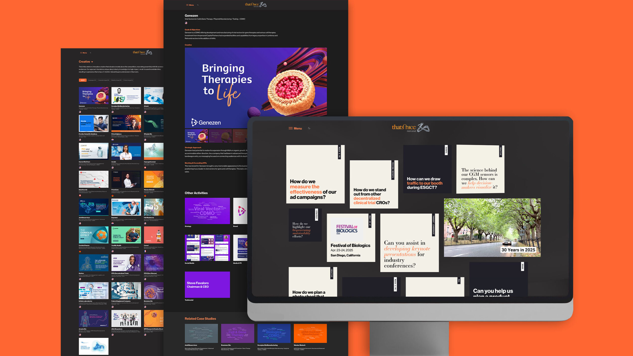 That's Nice Digital & SEO