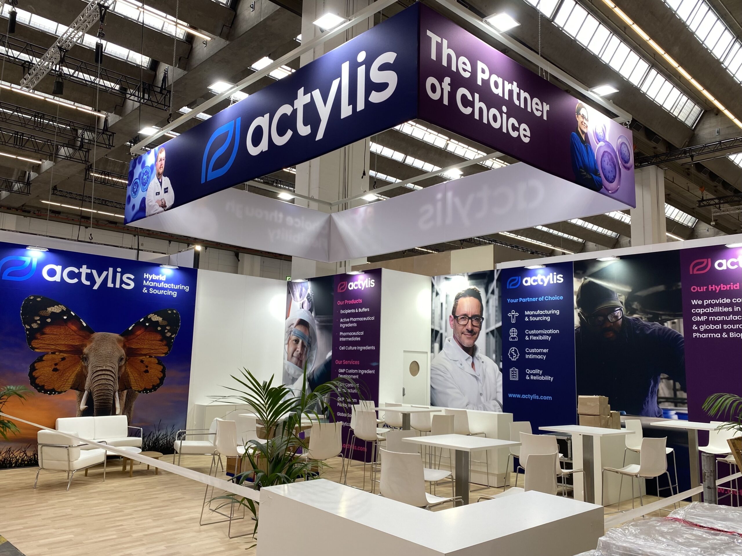 Actylis - Creative Case Study - Image (6)