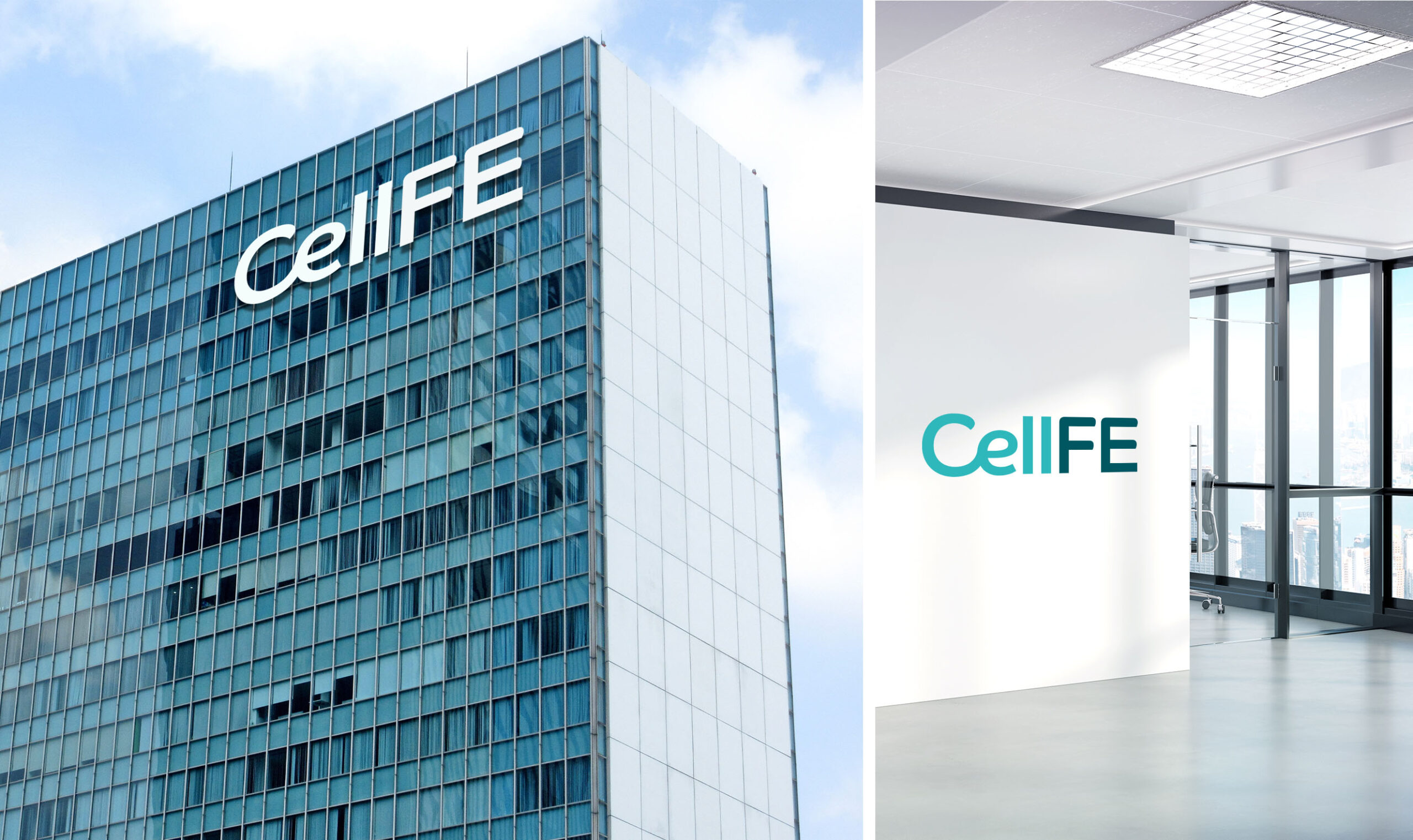 CellFE - Brand Case Study - Image (5)