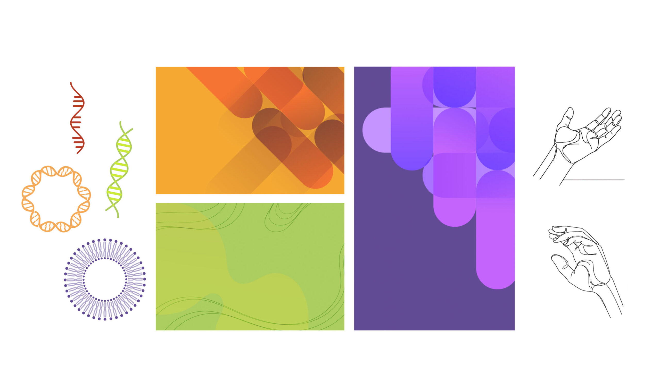 Wacker Biotech - Creative Case Study - Image (2)