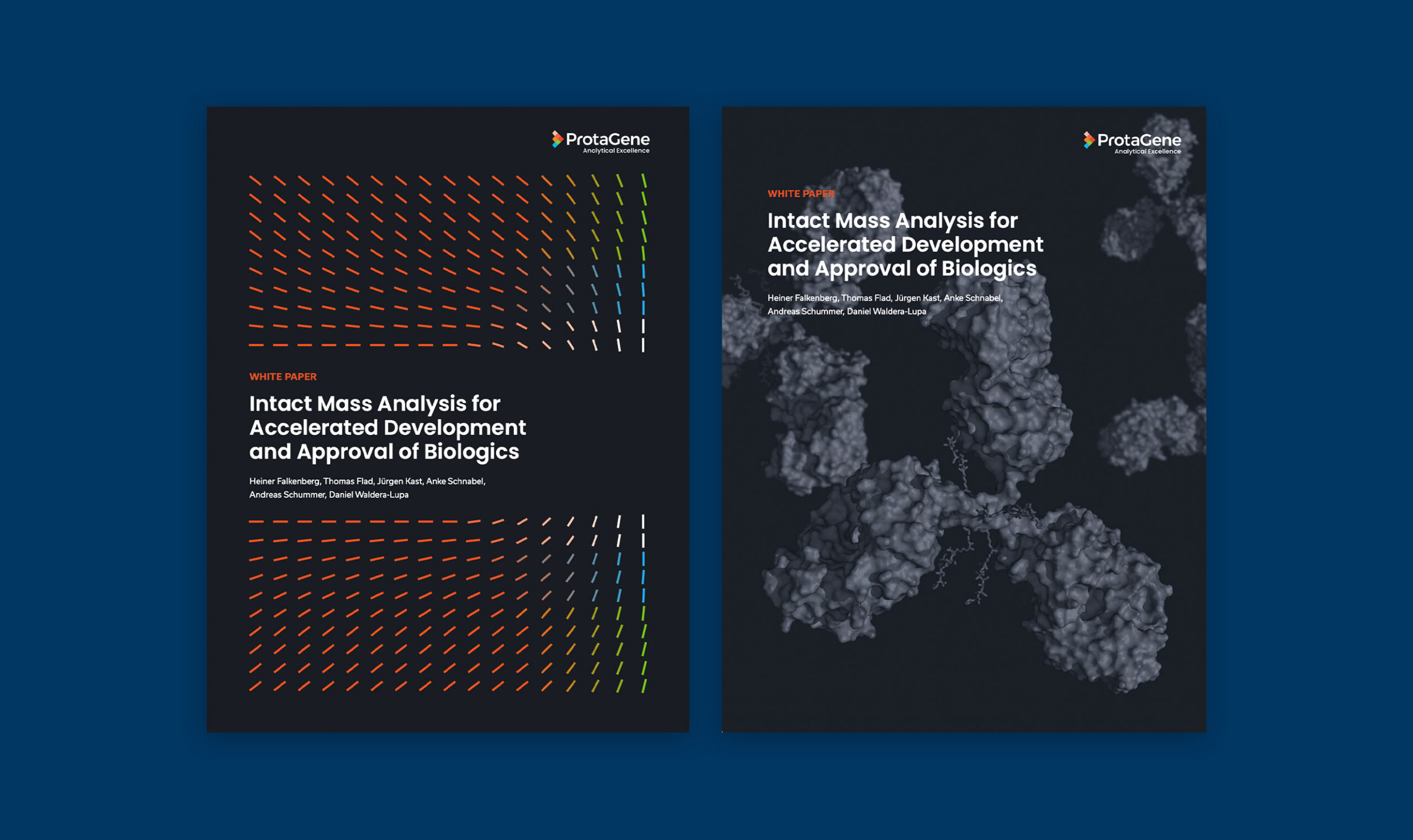 ProtaGene - Creative Case Study - Image (4)