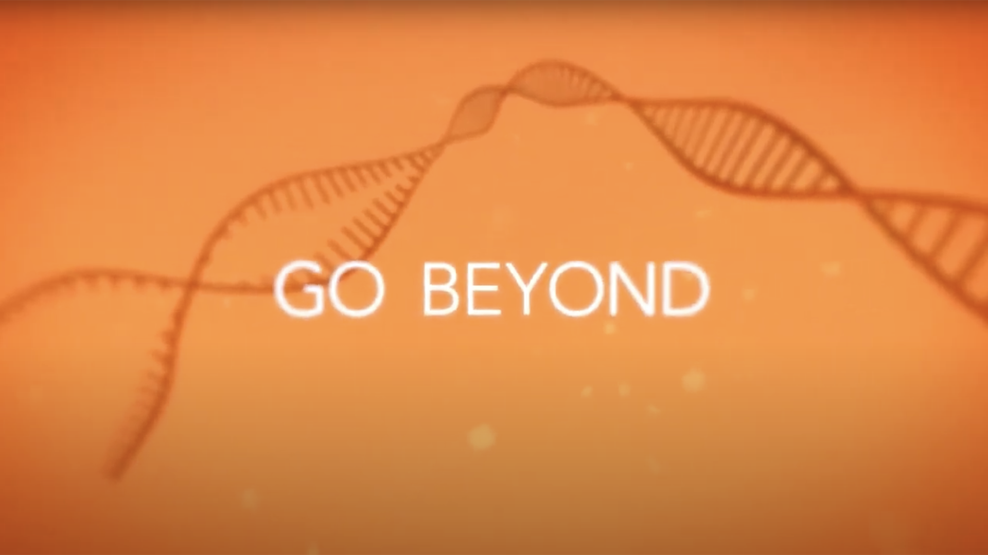 MPI Research (Charles River) - Digital & SEO