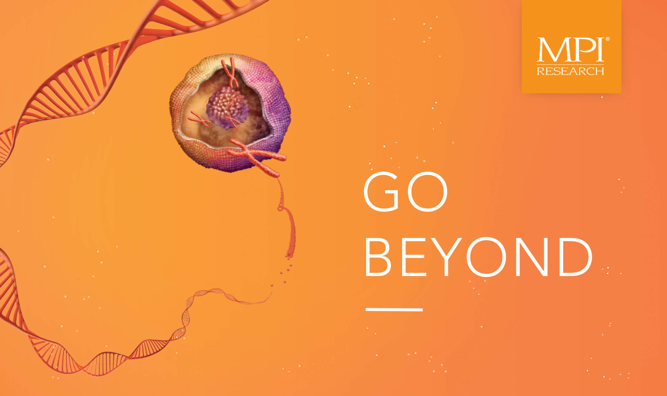 MPI Research (Charles River) - Creative