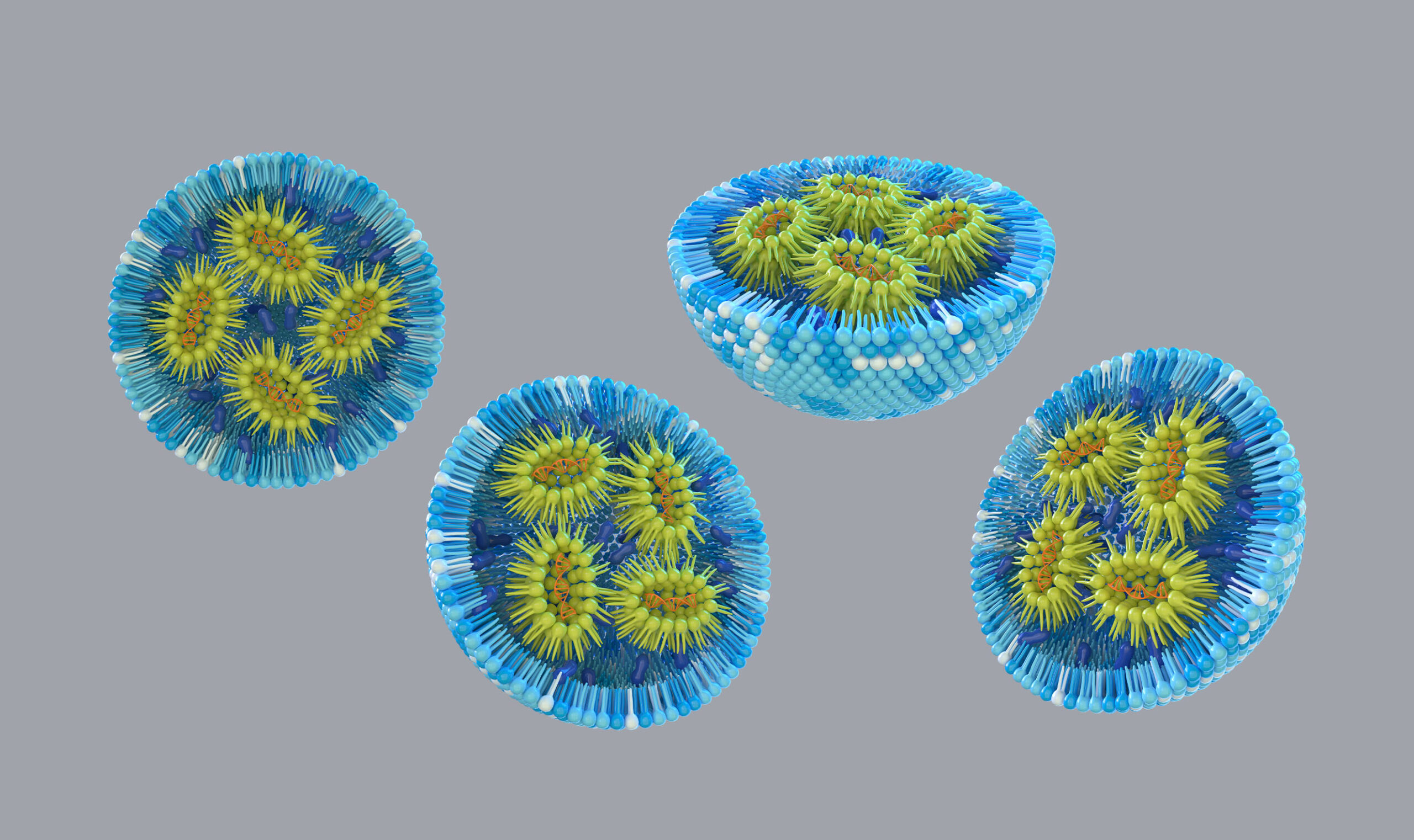 DIANT Pharma - Creative Case Study - Image (2)