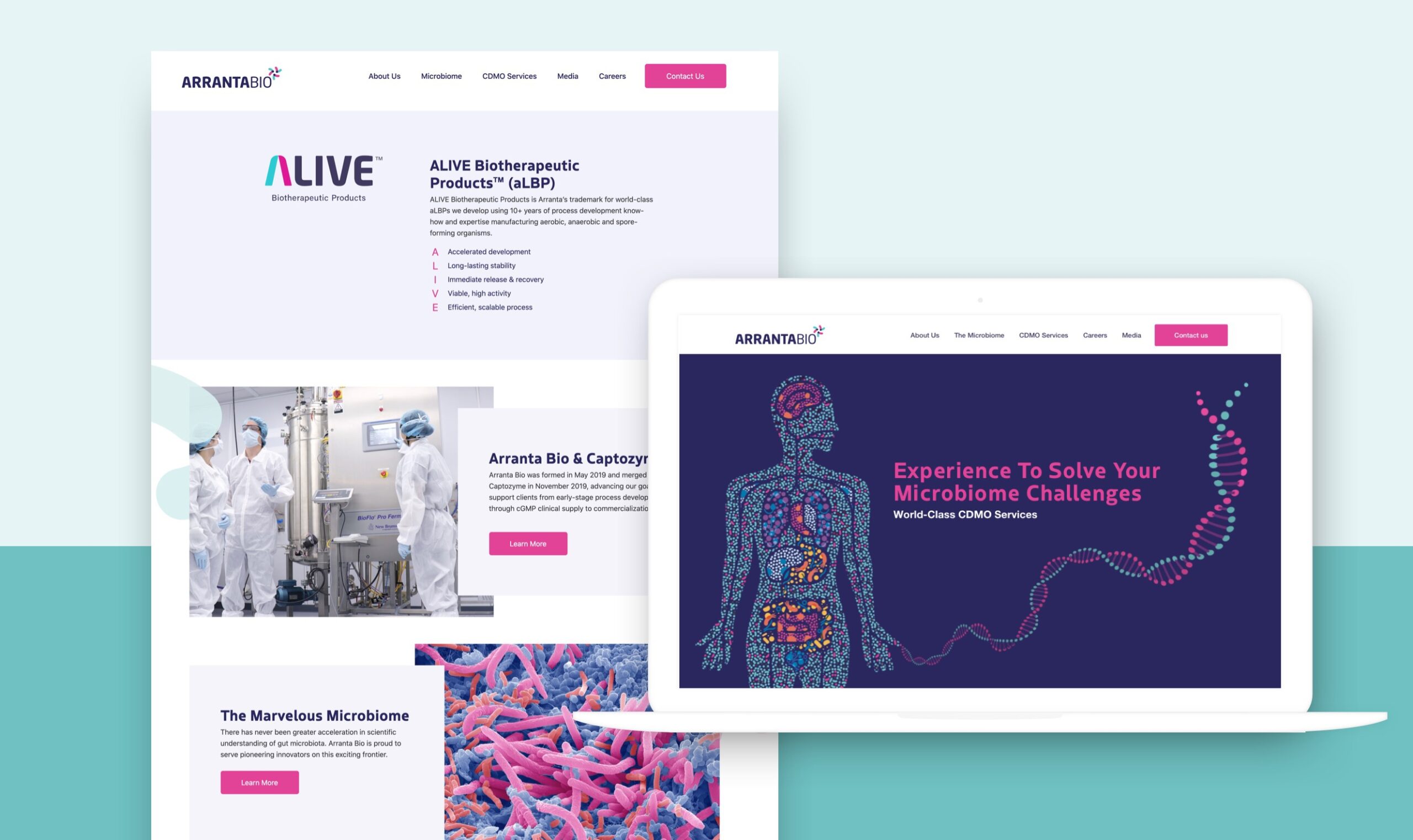 Arranta Bio - Digital & SEO Case Study - Image (2)