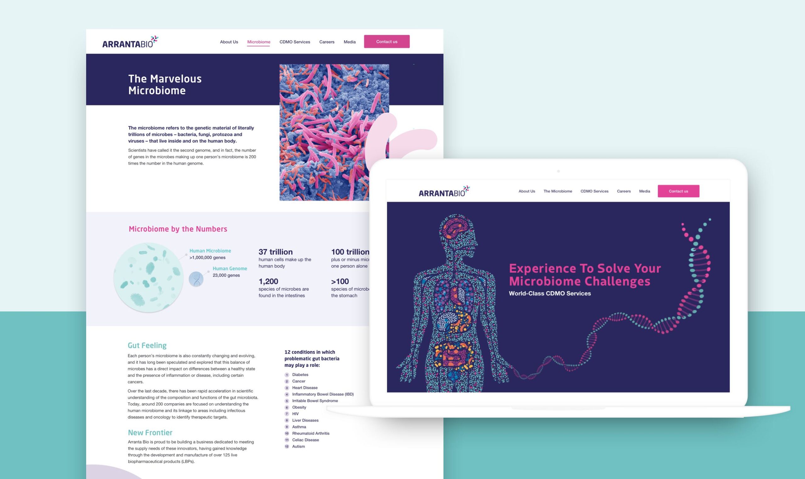 Arranta Bio - Digital & SEO Case Study - Image (1)