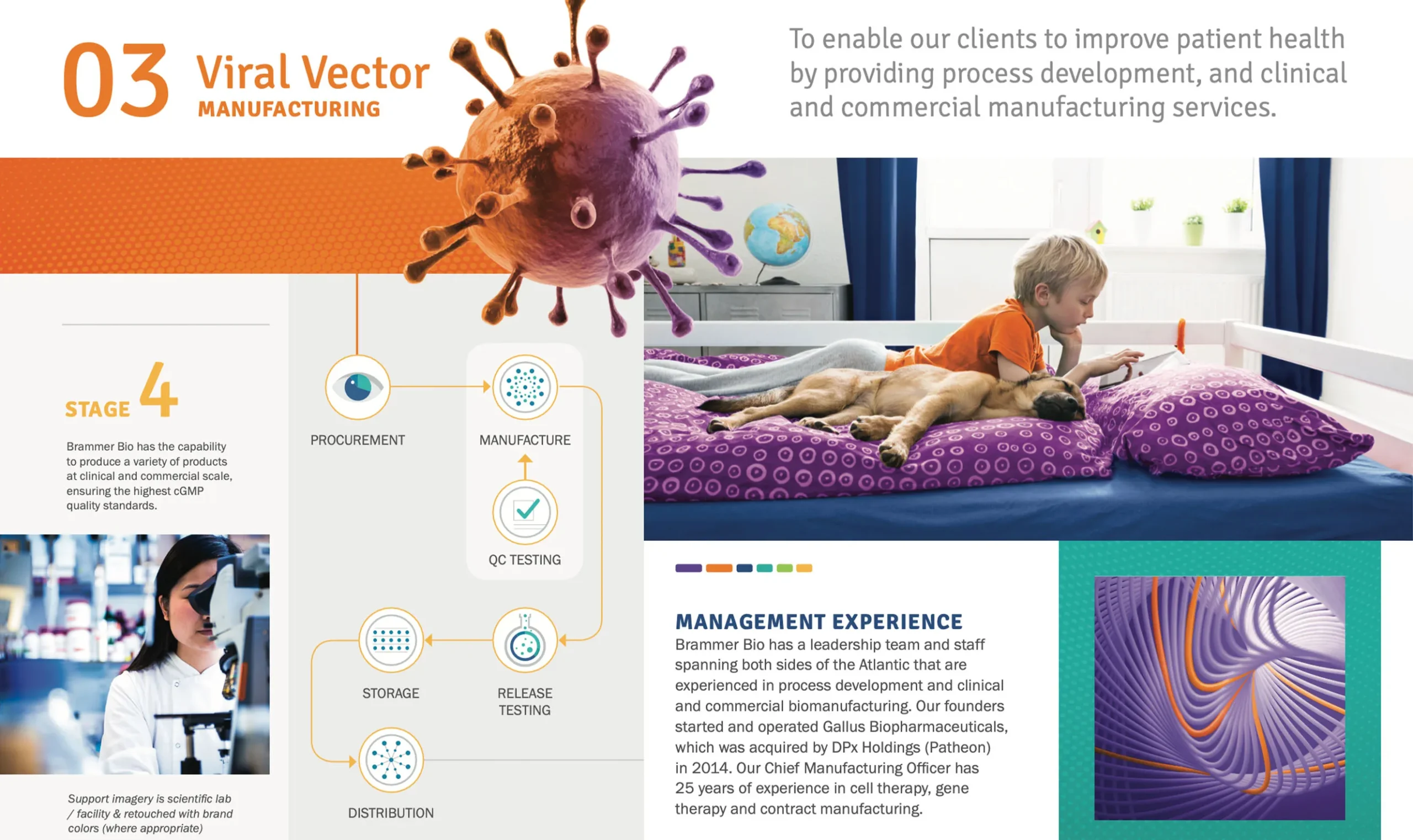 Brammer Bio - Brand Case Study - Image (5)