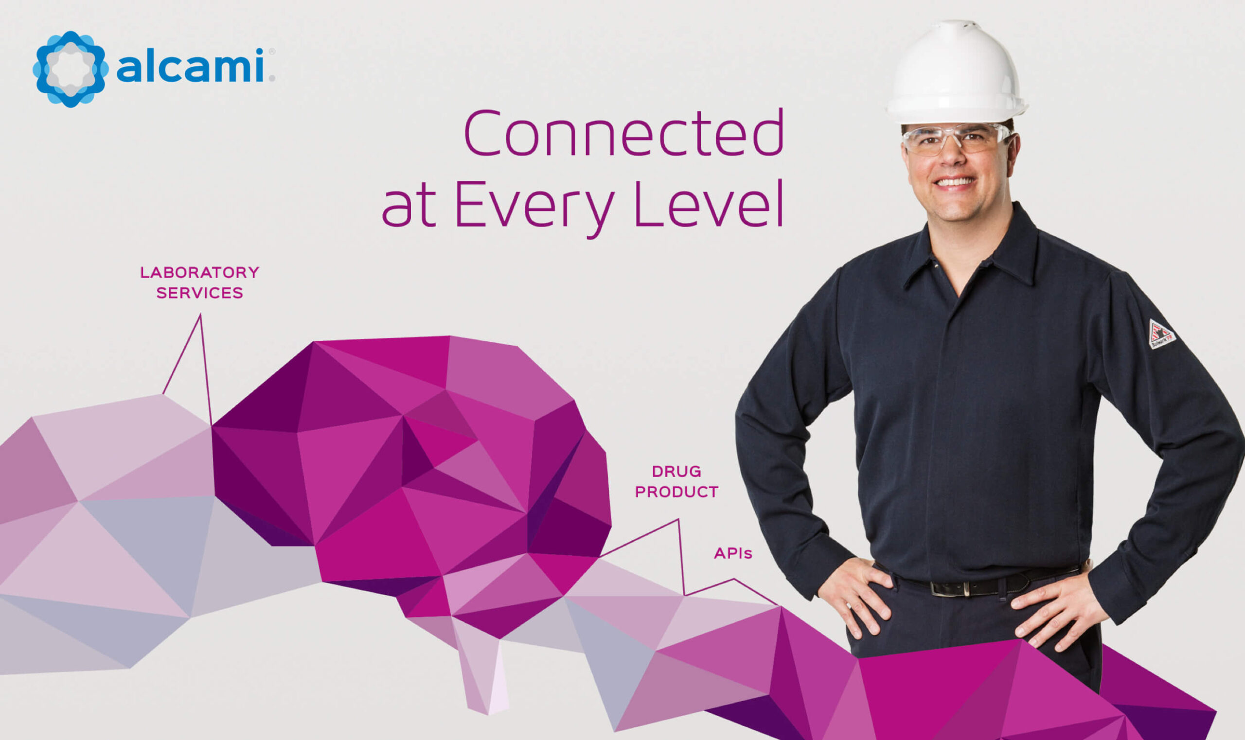 Alcami - Creative Case Study - Image (4)