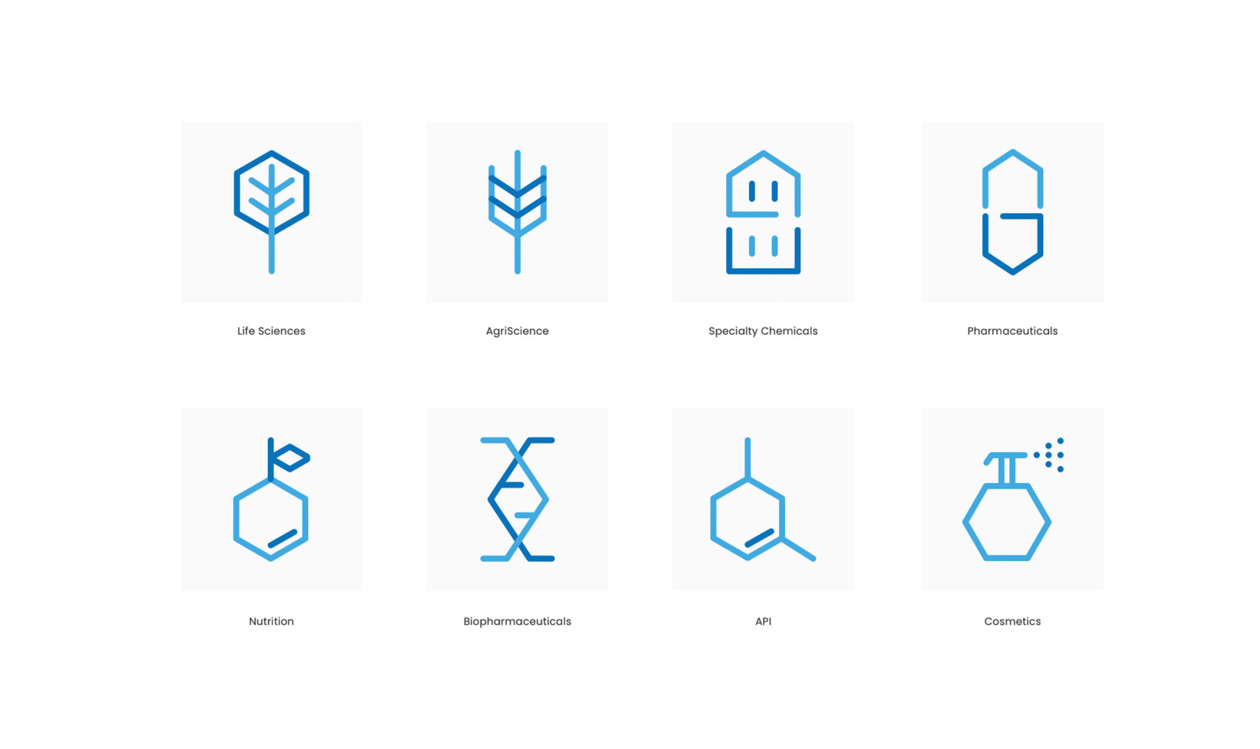 Actylis - Brand Case Study - Image (7)