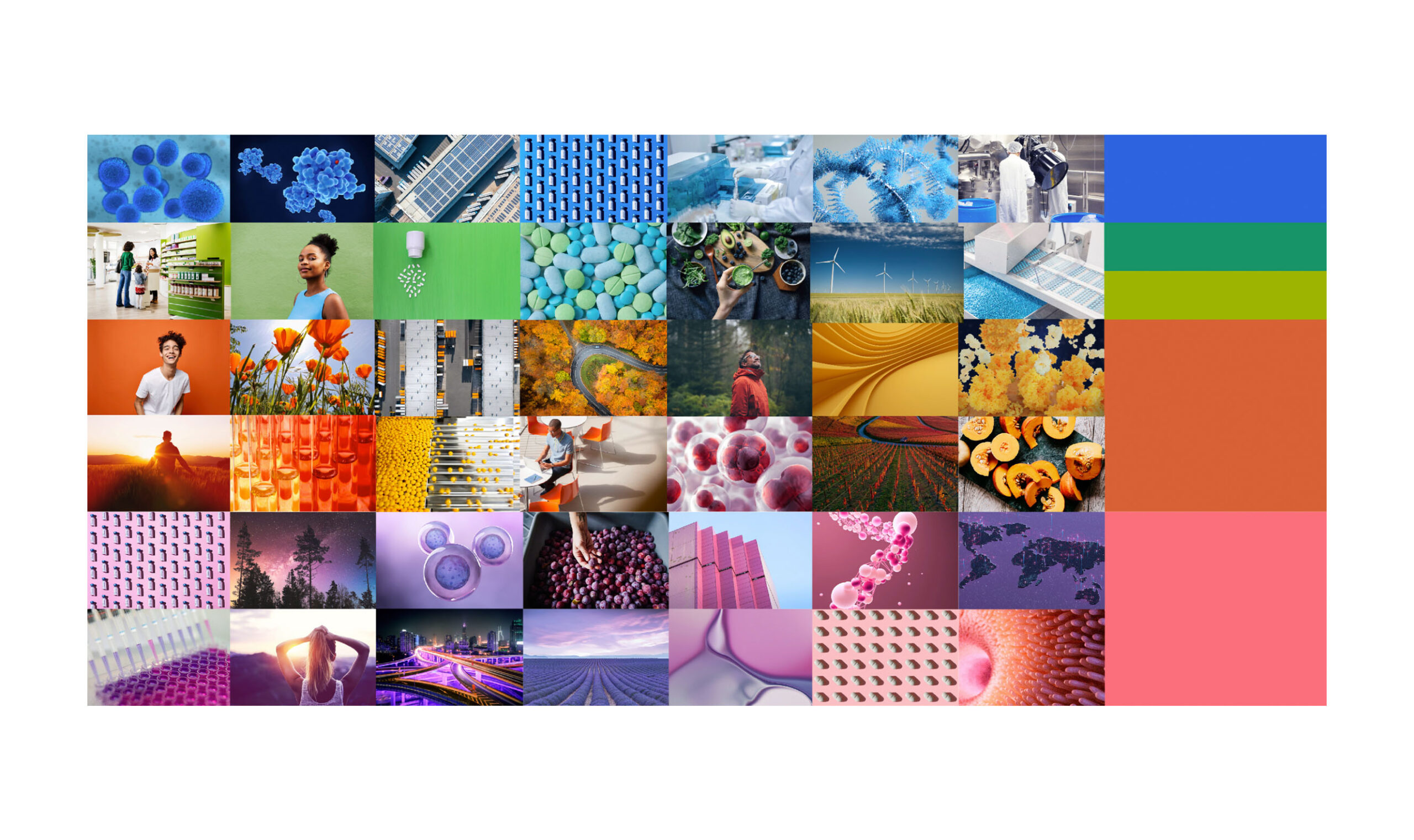 Actylis - Brand Case Study - Image (6)