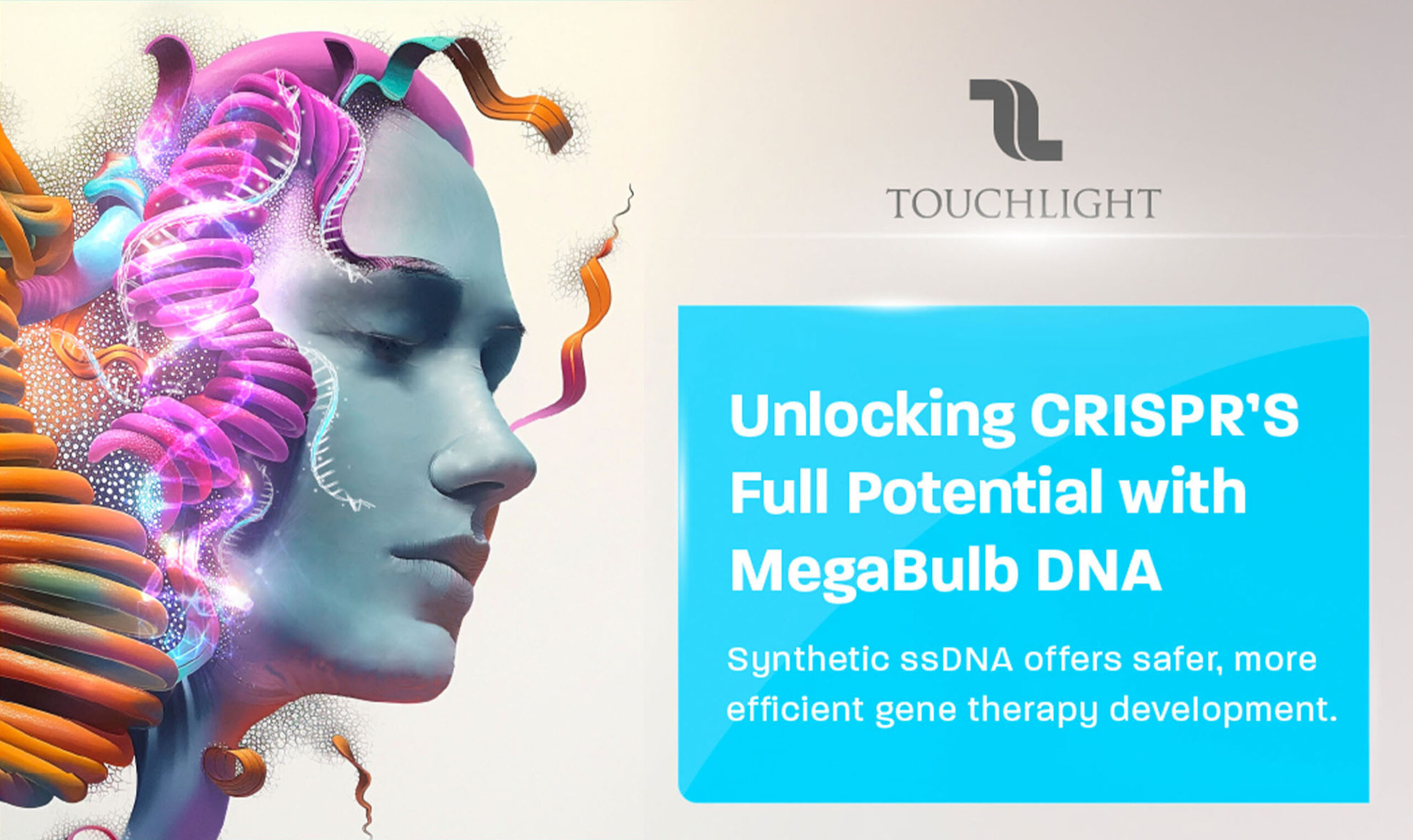 Touchlight - Creative Case Study - Image (3)
