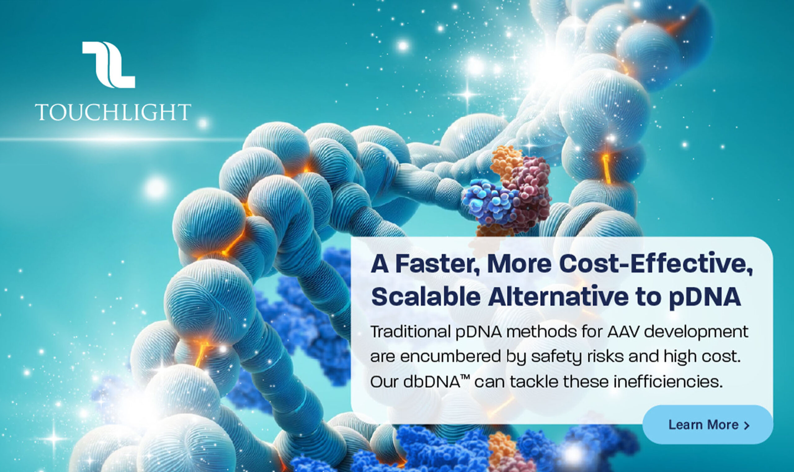 Touchlight - Creative Case Study - Image (2)