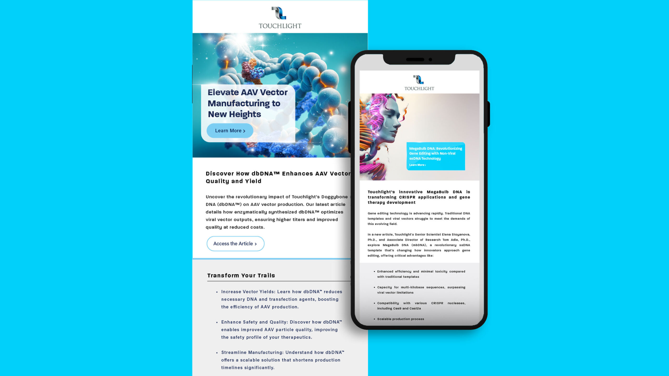 Touchlight - Digital & SEO Case Study - Image (2)