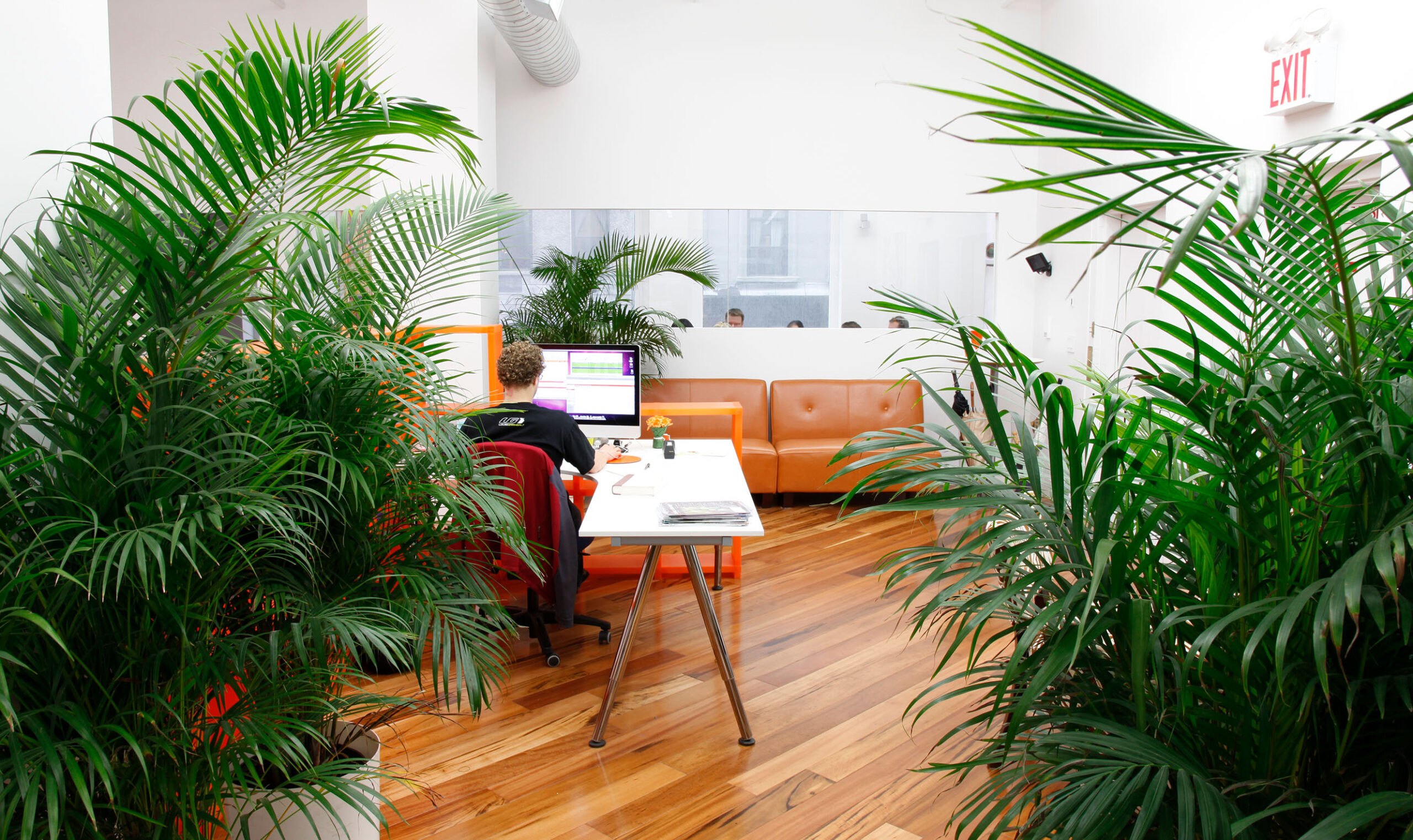 That’s Nice - Creative Case Study - Image (2)