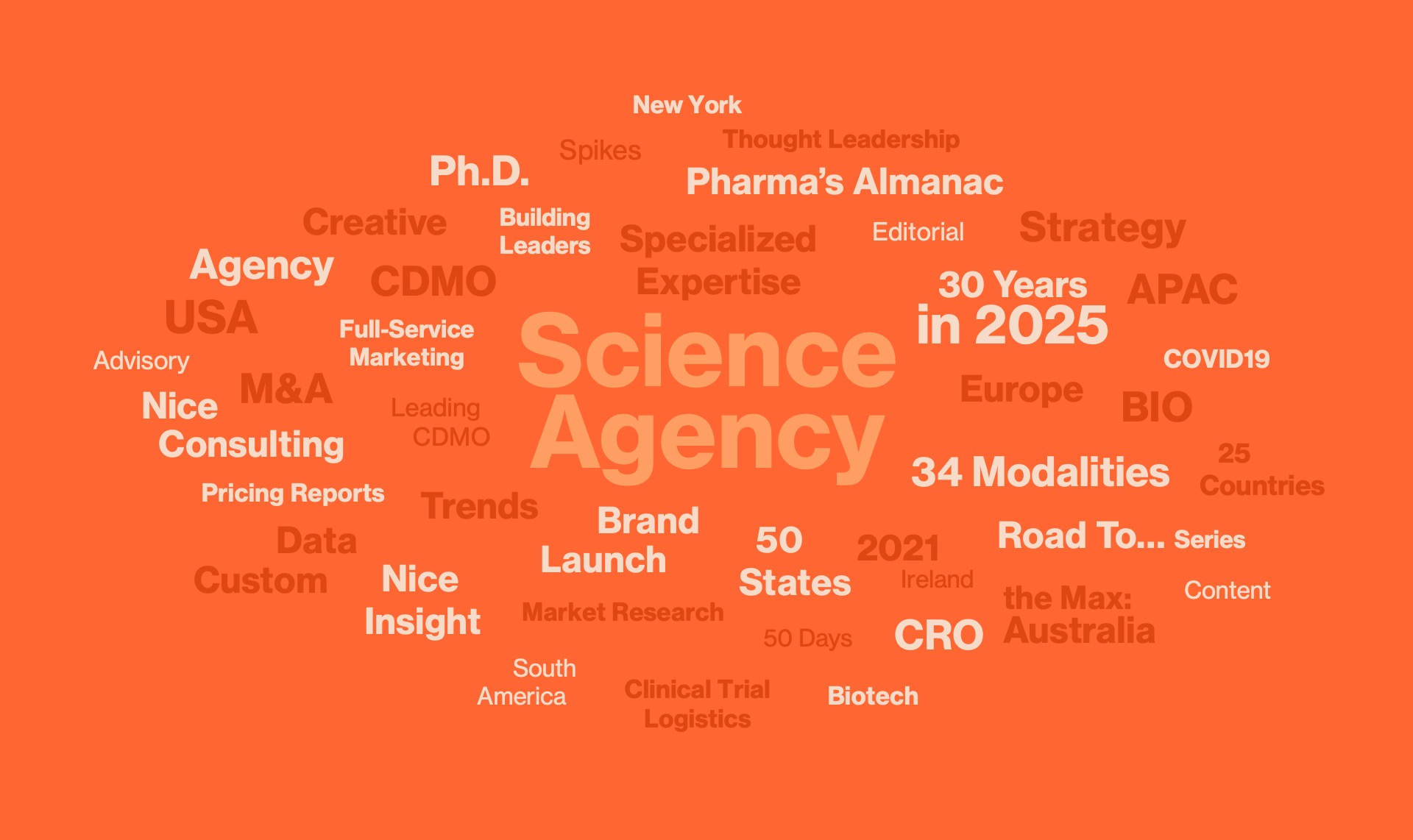 That's Nice Strategy