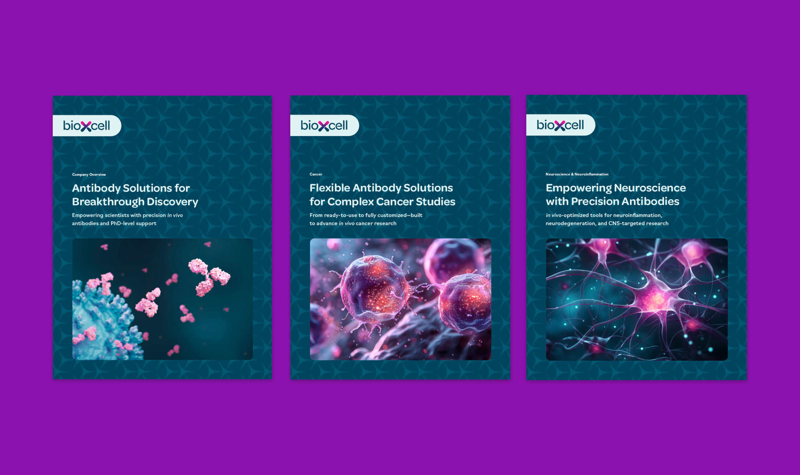 Bio X Cell - Creative Case Study - Image (3)