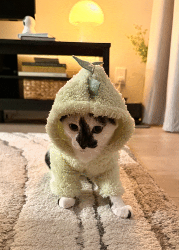 Dino Cat