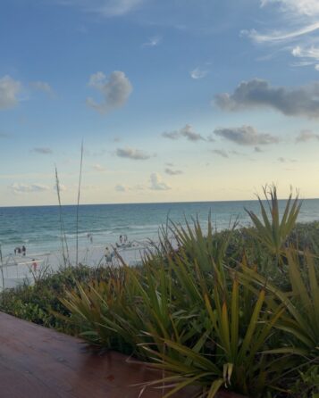 The Gulf Coast