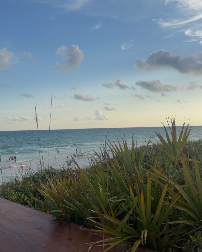 The Gulf Coast