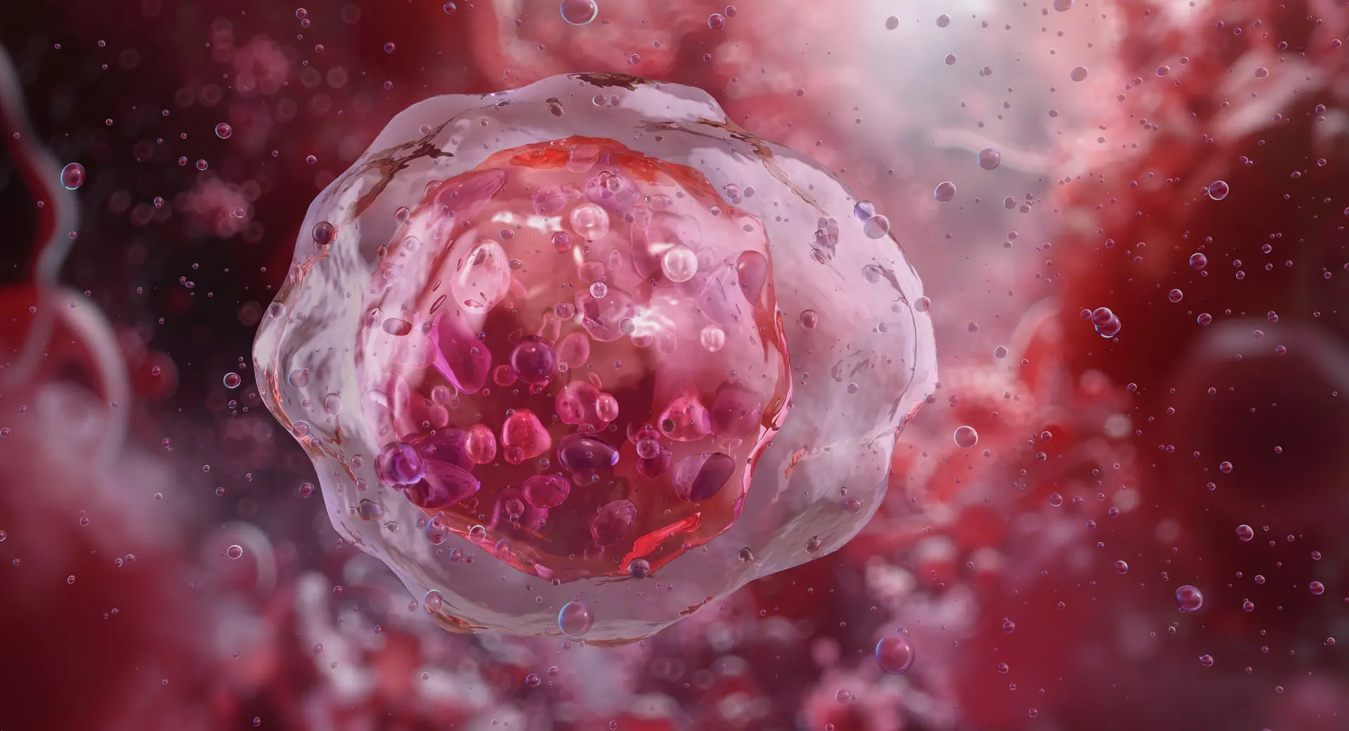 Stem Cell Therapies: Close to Transforming Promise into Real Patient Outcomes
