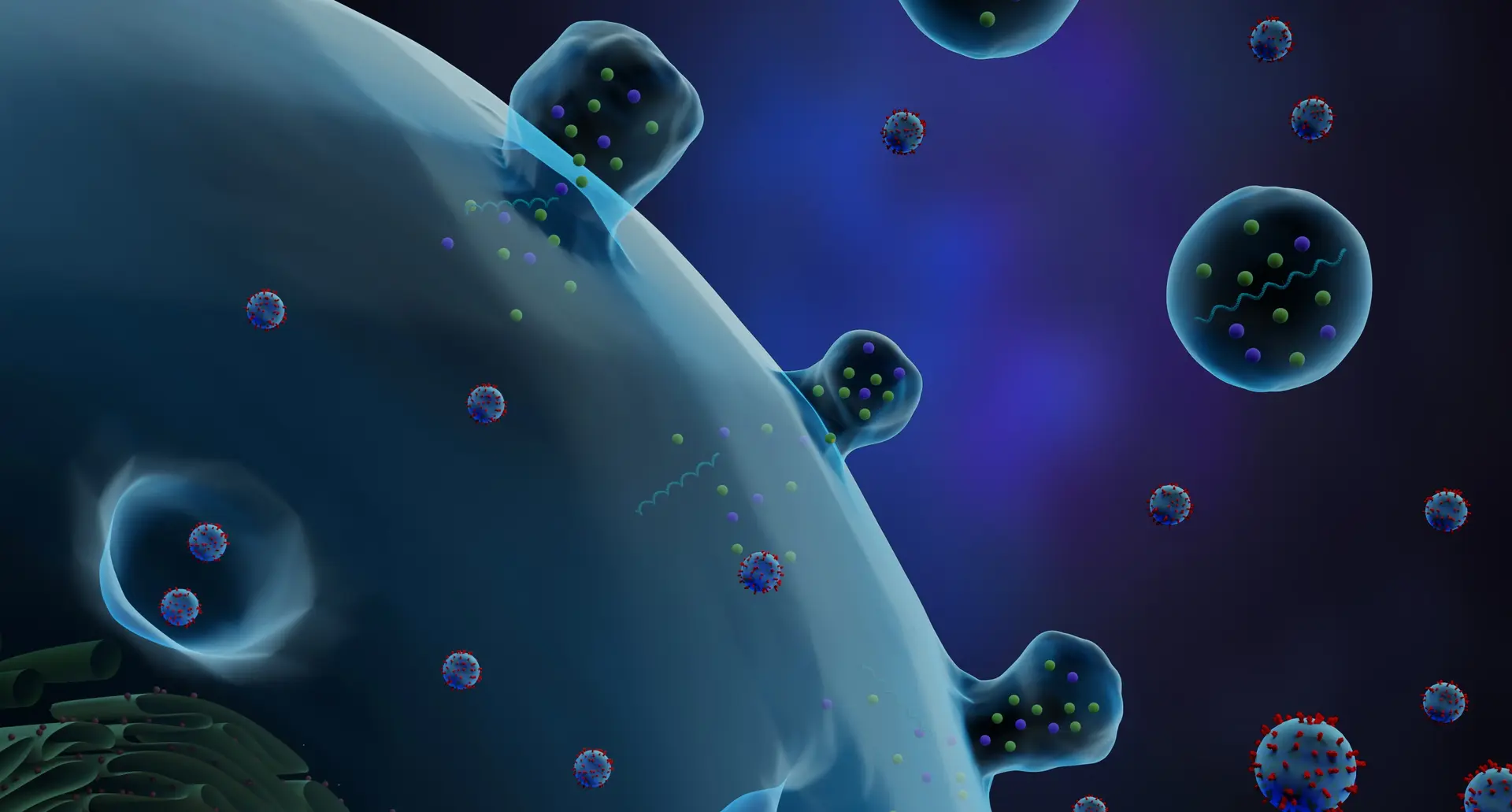 Exosomes: A Promising Natural Nanoparticle Delivery System
