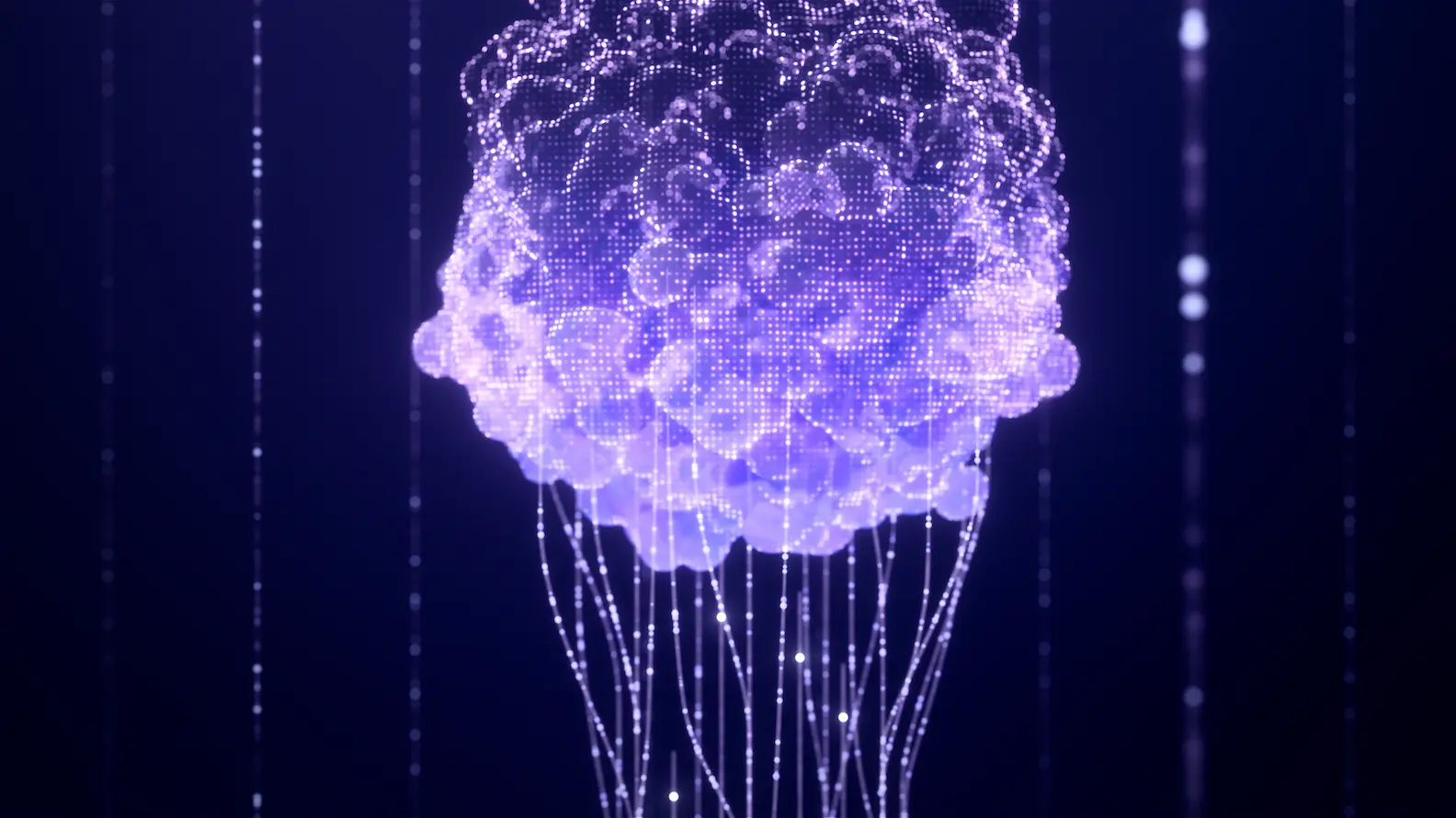 Data-Centric Organoid Services for Predictive Drug Response and Next-Generation Oncology Research