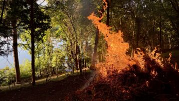Daytime Bonfire